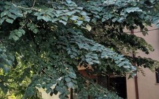 Inchiriere apartament 3 camere in vila, semidecomandat - Poză 38