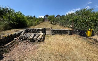 Casa cu 3 camere si teren | 111mp utili 450mp teren | Daia Noua | EXCLUSIVITATE - Poză 3