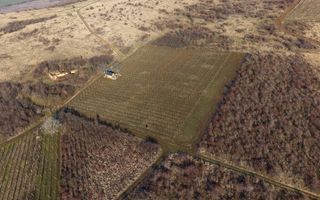 Vita-de-vie Premium  teren de 6800 mp în Covăsinț - Poză 4