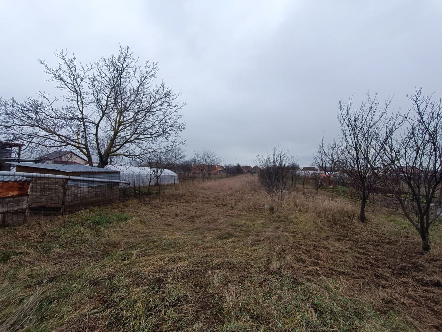 Casă cu teren generos 1.305 mp | Curtici – Arad - Poză 6