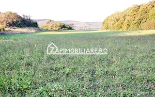 De vanzare 2 terenuri de 29.500 mp si 1.400 mp.29 euro mp - Poză 10