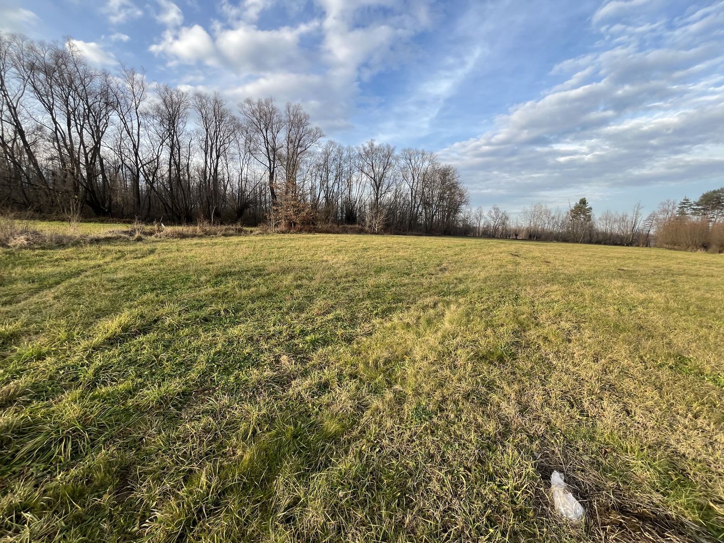 TEREN INTRAVILAN GENEROS | 72 ARI | GALANESTI - Poză 4