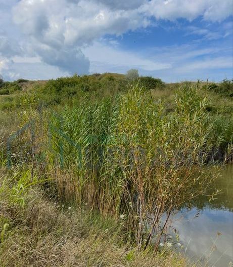 De vanzare teren in comuna schitu duca cu iaz de peste si salcami - Poză 4