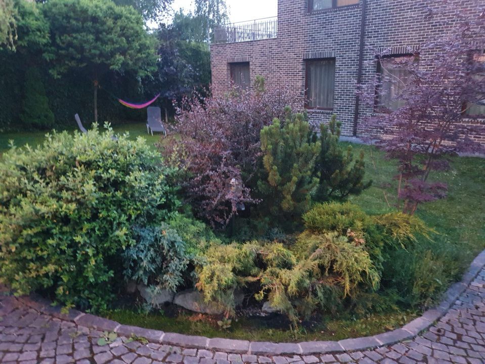 Casa individuala l 310 mp utili l 900 mp teren l garaj l Faget - Poză 6
