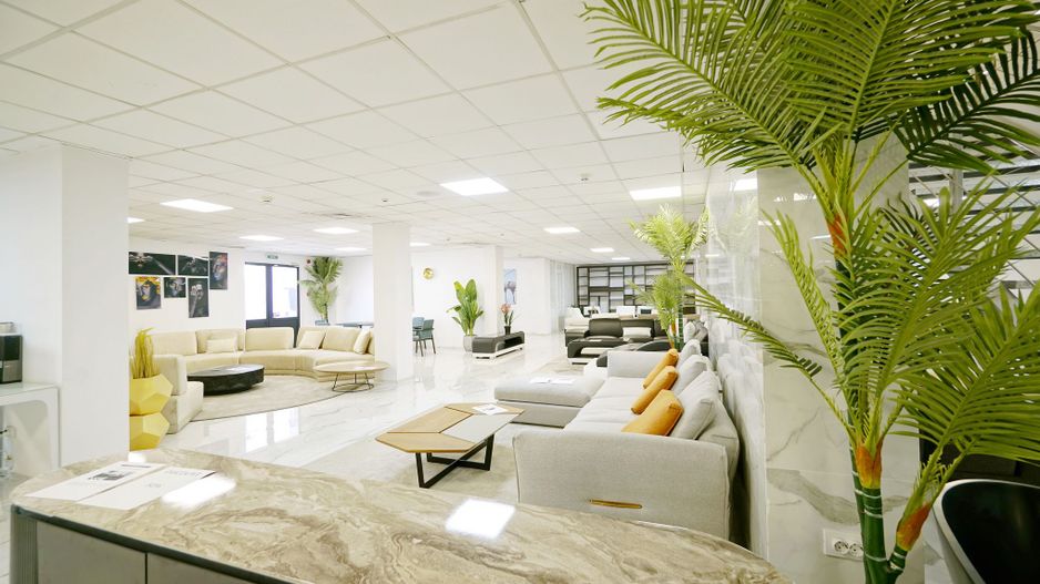 Spatiu comercial 2000 mp,Valea Cascadelor - Poză 14