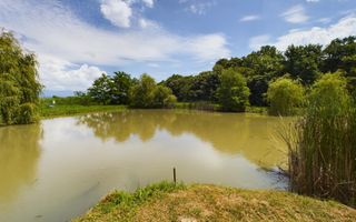 Moară istorică cu teren și luciu de apă în Aldești - Poză 4