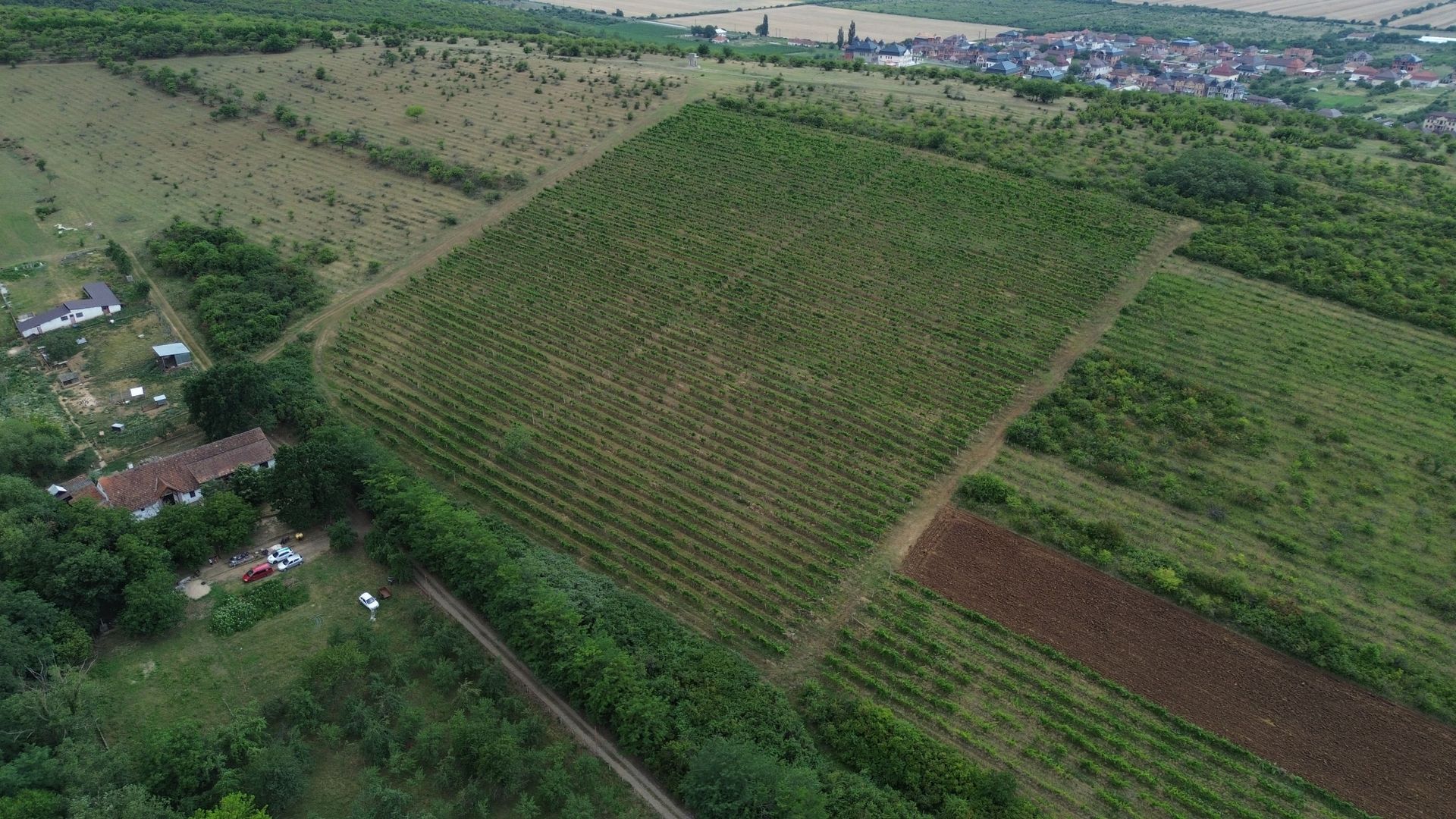 Conac rustic cu 7 camere în Covăsânț și teren 9 ha - Poză 11