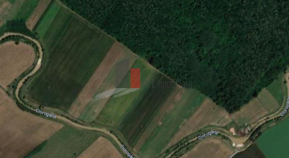 Teren Intravilan Padure Joita - Poză 3