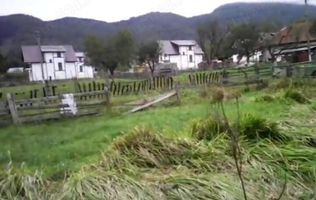 Teren Predelut, Bran