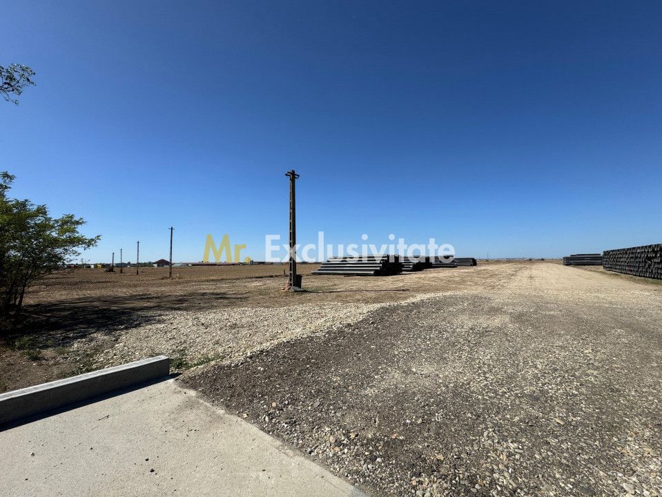 Teren extravilan de vânzare – Căteasca, Argeș | 27.201 mp | Deschidere 58,55 m - Poză 4