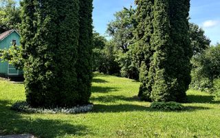 De vanzare sau de inchiriat casa individuala in cart Dambu Pietros - Poză 8