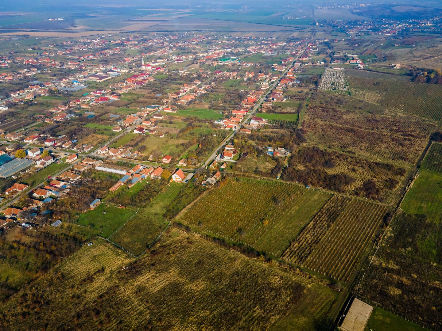 Teren viticol Șiria - Poză 7