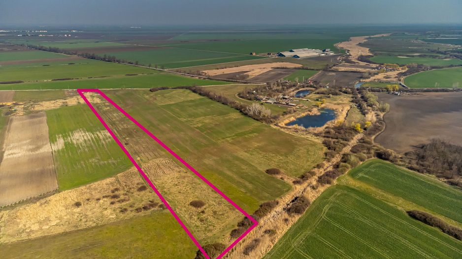 Teren Agricol Extravilan 14300 mp - Poză 5