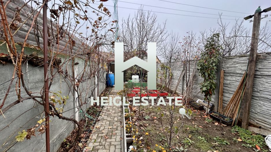 Casa 3 camere gata de mutat Sanandrei - Poză 10