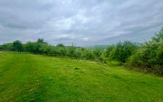 Teren 3507 mp/ Seaca/Calimanesti - Poză 1