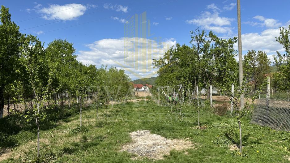 Casă de vânzare în Seini - strada Horea - Poză 8