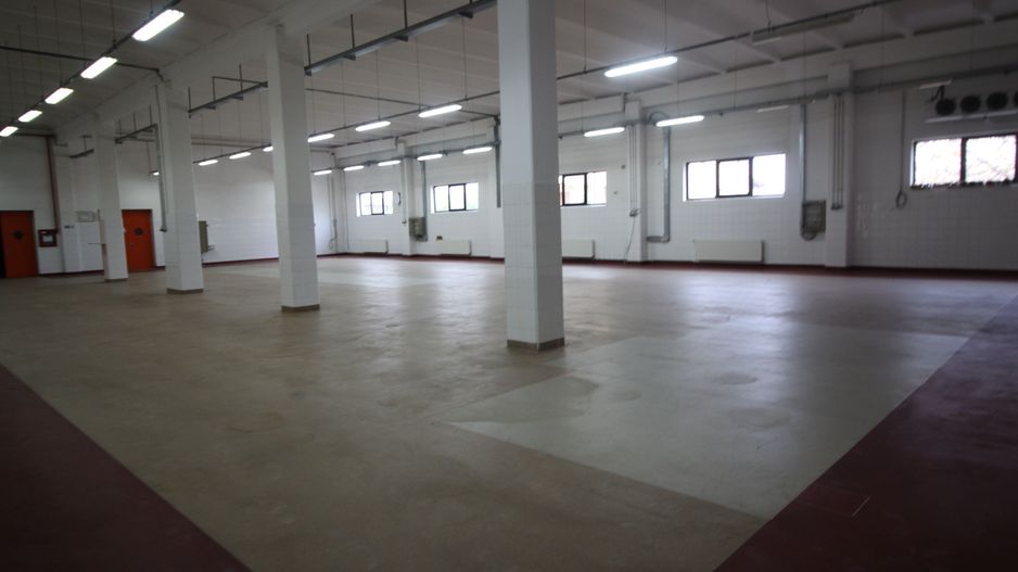 Hala productie    - Calea Torontalului de vanzare - Poză 7