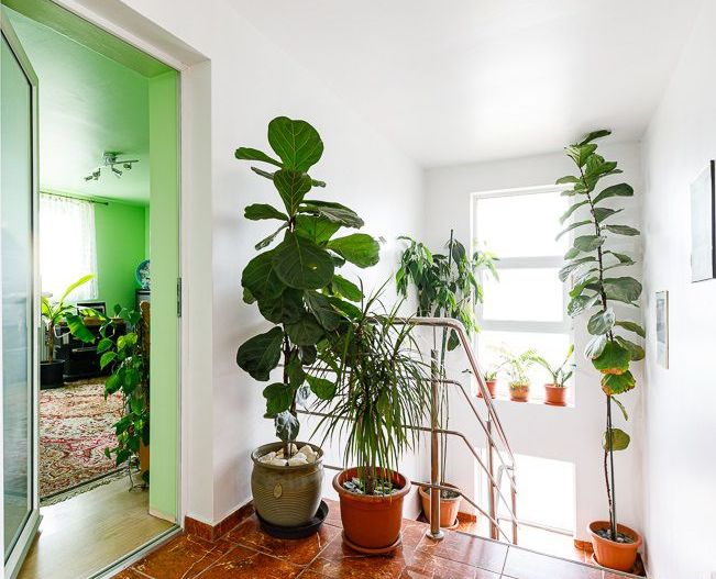 Casă pentru o familie numeroasă în Săcălaz - Poză 11