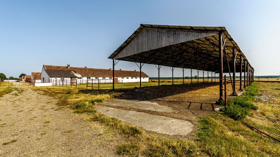 Fermă Mândruloc 2,5 ha - Poză 11