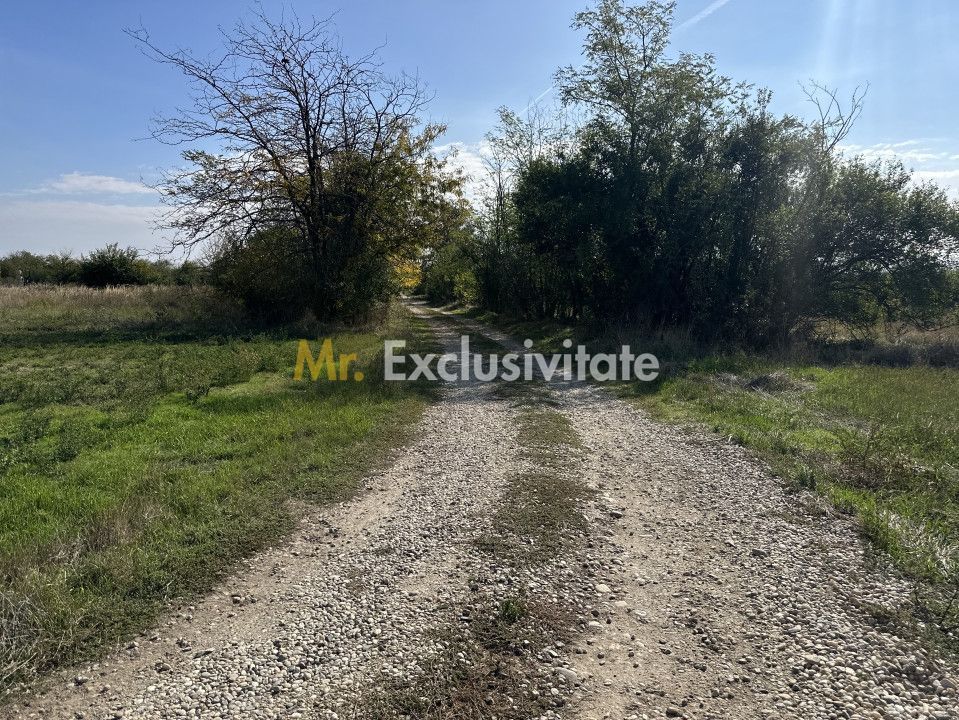 Teren Intravilan com. Ratesti - Poză 3