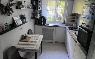 Apartament 3 camere de vanzare Dristor Camil Ressu - Poză 3