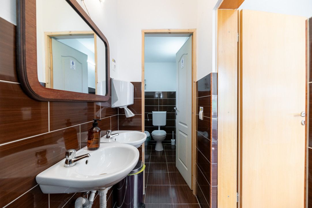 Casa + Pensiune deosebita - Orlat, Sibiu - Poză 49
