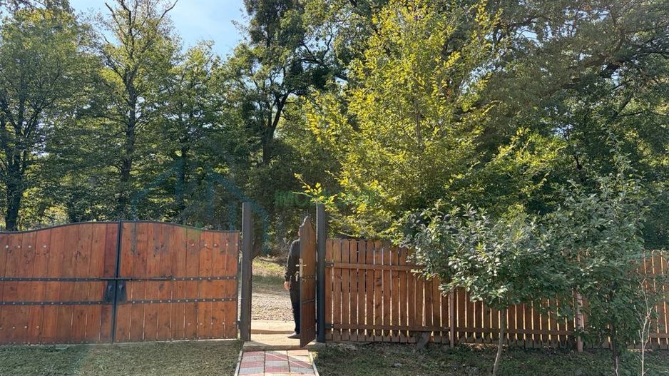 Casă cu 2 dormitoare și living spațios, 105 mp, la marginea pădurii, Strunga - Poză 3