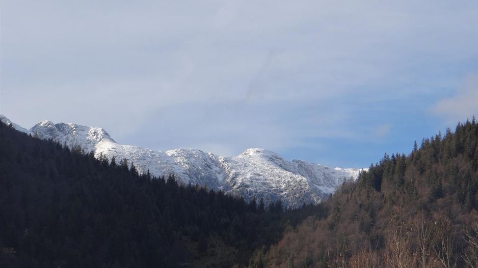 In locatia de basm: - Pestera, Moieciu, Brasov, utilitati, accesibilitate - Poză 19