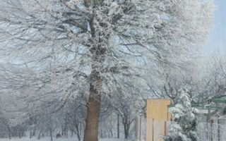 Casă duplex din lemn, Zona Păun Bârnova, vedere panoramică - Poză 6