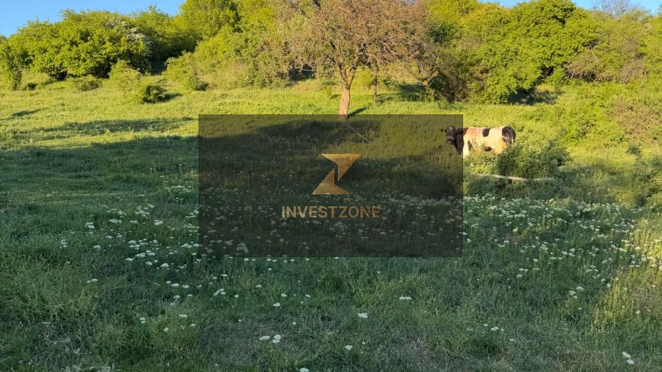 ⭐  Teren de 2.700 mp cu front generos – Ocazie în Oncea - Poză 14