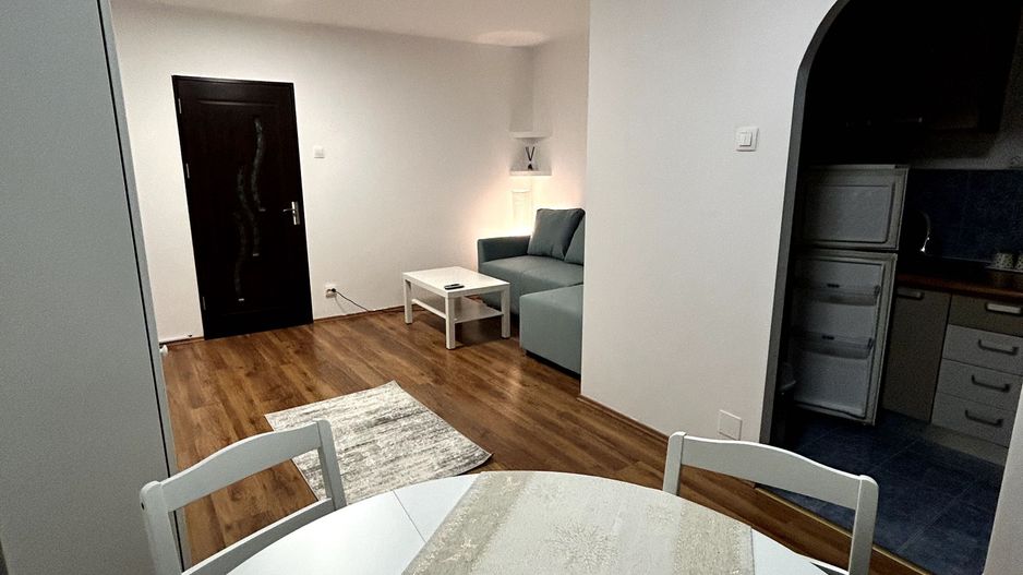 Garsonieră renovată, mobilă nouă, 3 min ParkLake, etaj 9 - Poză 2