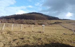 Teren la drum 2000 mp-pretabil investitie-Saratel - Poză 1