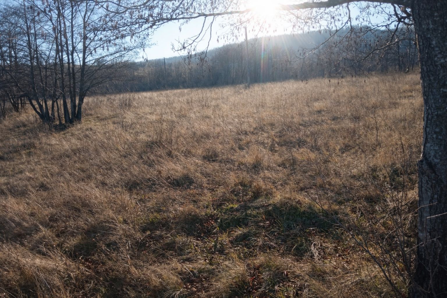 Teren extravilan | Vicovu de Jos | Preț 27.000 | Negociabil - Poză 3