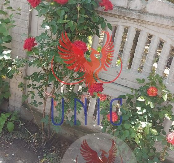 Casa pe parter, Marsani - Poză 10