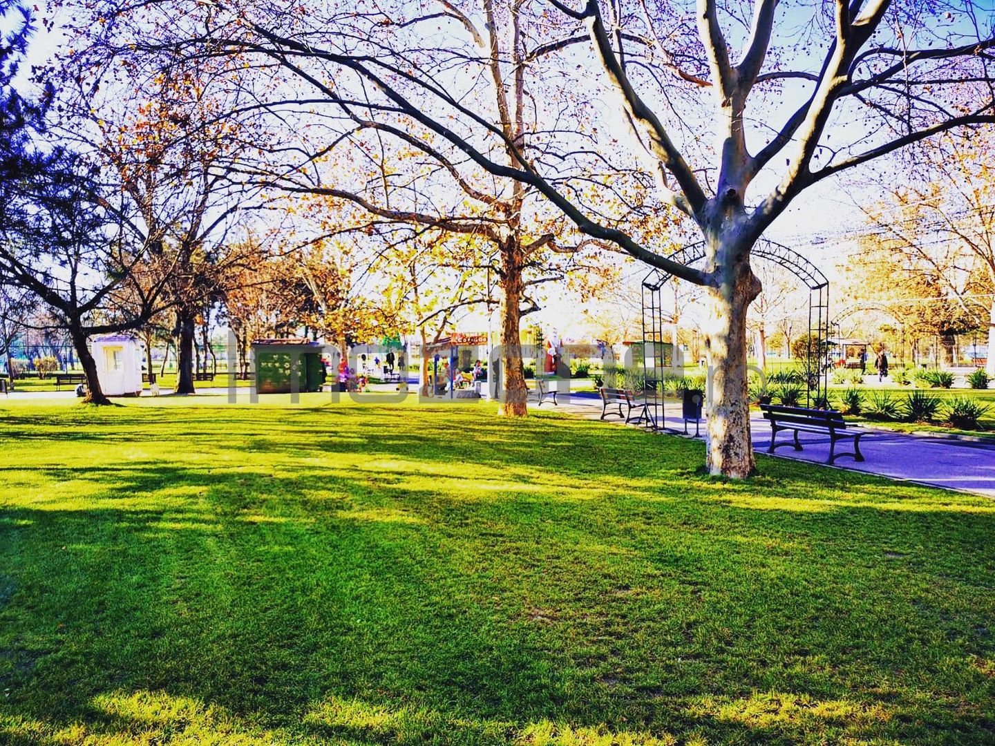 Scarlat Vârnav 26 - Poză 5