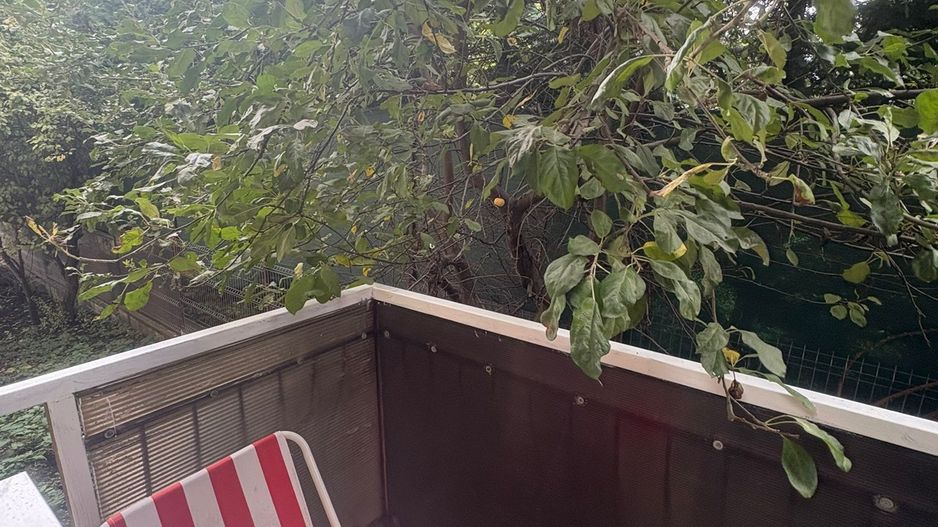 Apartament 3 camere | Cartierul Andrei Muresanu | 90 mp | Piata Engels - Poză 17