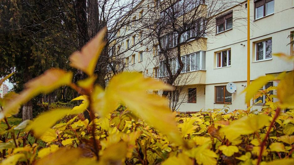 Exclusivitate - Calea Bucuresti, 2 camere - Poză 1