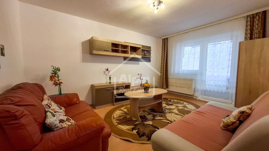 Suprafata Generoasa I Zona Gemenii - Poză 10