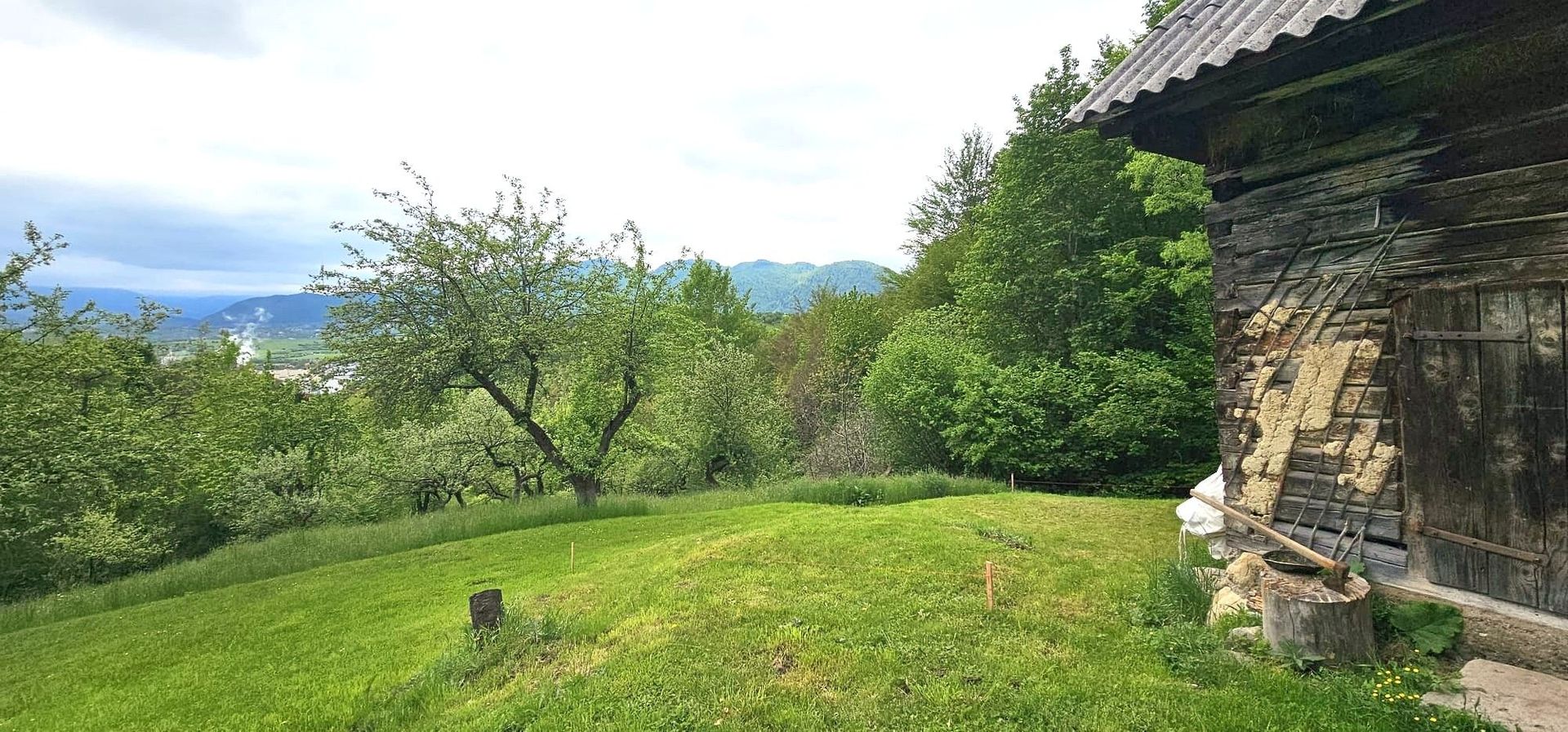Domeniu Premium 1.7 Ha Intravilan Zărnești | Lizieră Pădure | Ideal Resort - Poză 4