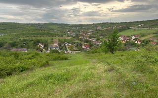 Teren 4062 mp de vanzare in zona Dealuri Oradea - Poză 7