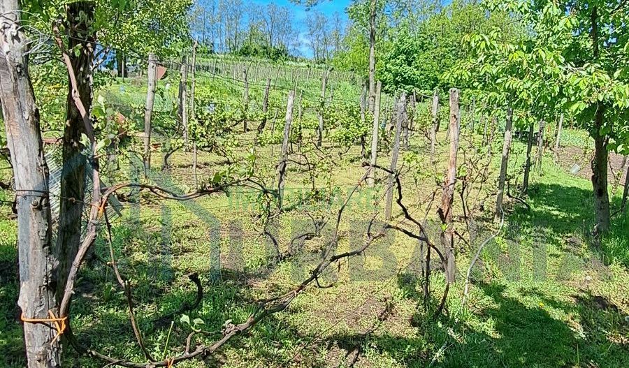 Casă tradițională în sat Bohotin, comuna Răducăneni – 40.000 EUR - Poză 4