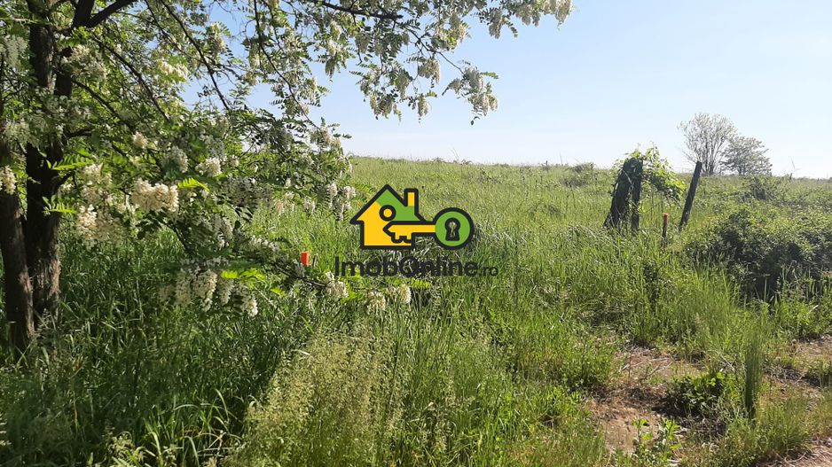 Teren de vânzare în Lugoj, judet Timis - Poză 6