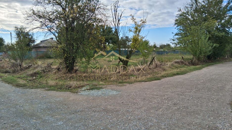 Teren investitie 2262mp // Lac Dorobantu // comuna Varasti - Poză 2