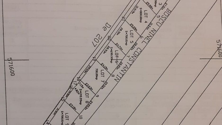 Teren intravilan in comuna Domnesti - sat Teghes - Poză 10