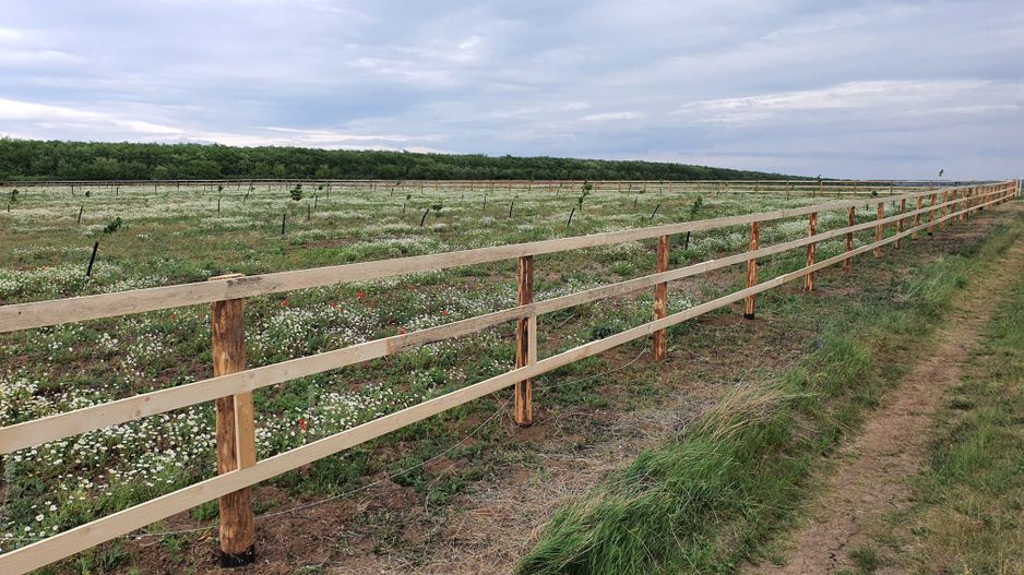 Teren (livada) destinatii multiple, imprejmuit, zona super - Poză 2