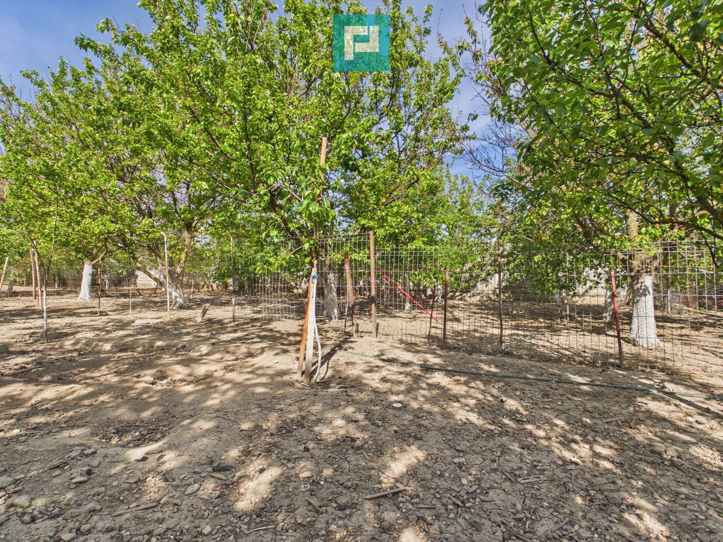 Casă retrasă Pișchia – 4 camere, teren 920 mp - Poză 69