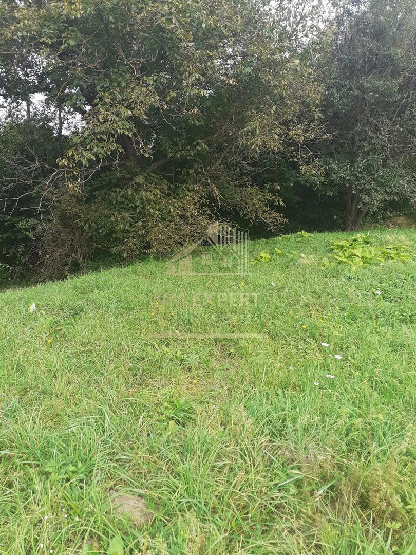 TEREN INTRAVILAN 3698 MP, CAMPULUNG, ARGES - Poză 6