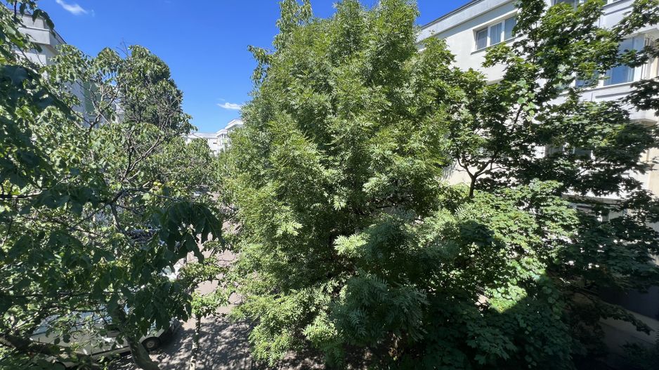 Apartament Aviatiei - Maguricea - Metrou Aurel Vlaicu - Poză 20