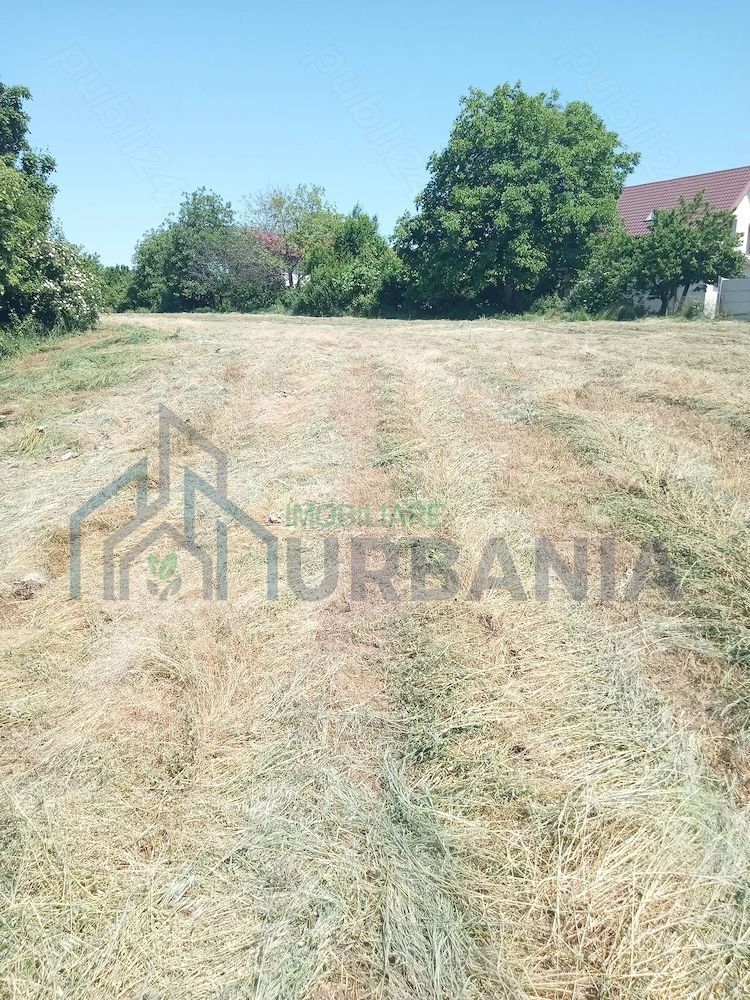 Teren intravilan 11.000 mp și casă 200 mp – Târgu Frumos - Poză 4