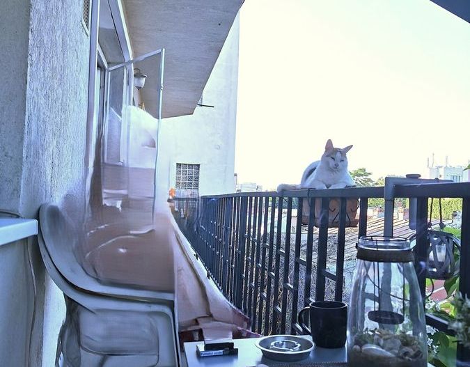 Apartament Plevnei / Orhideea - Poză 7